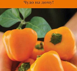 Перец сладкий Тема