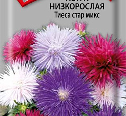 Астра Низкорослая Тиеса стар микс