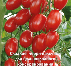 Томат Щербет F1 (черри)