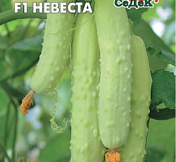 Огурец Невеста F1
