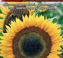 Подсолнечник Кубанские семечки