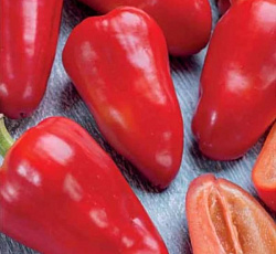 Перец сладкий Бабушкина грядка