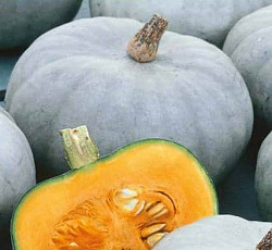 Тыква крупноплодная Крошечка-Хаврошечка