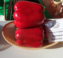 Перец сладкий Адмирал Нахимов F1