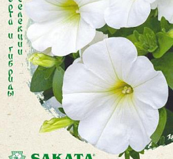 Петуния крупноцветковая Игл белая F1