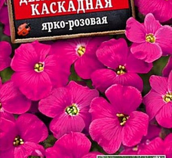 Обриета Декоративная каскадная Ярко-розовая