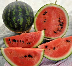 Арбуз Подарок северу F1