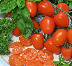 Томат Клубничка оранжевая F1