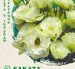 Эустома (лизиантус) Мариачи лайм F1