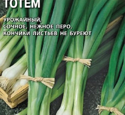 Лук батун Тотем (на зелень)