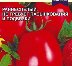 Томат Кемеровец