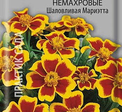 Бархатцы отклоненные немахровые Шаловливая Мариэтта