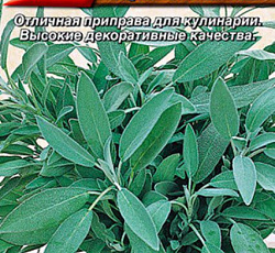 Шалфей овощной Целитель