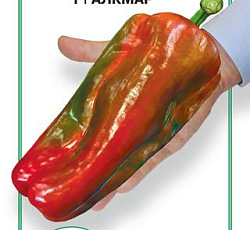 Перец сладкий Алкмар F1