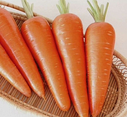 Морковь Абако F1