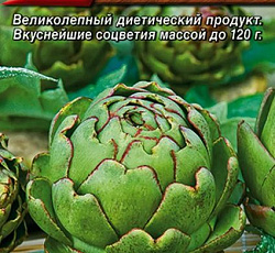 Артишок Красавец