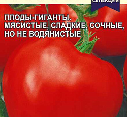 Томат Канары