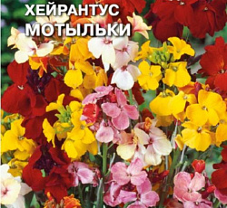 Хейрантус Мотыльки (смесь окрасок)