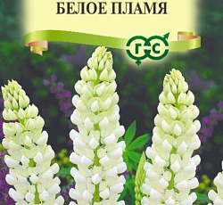 Люпин Белое пламя