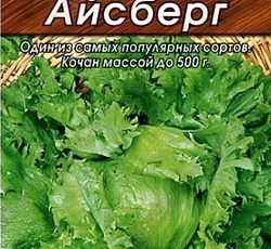 Салат Айсберг (кочанный)