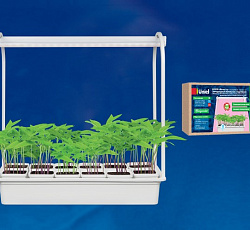 Светильник "МиниСад", 10 Вт, 12 кашпо (спектр SPLE для фотосинтеза)