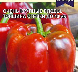 Перец сладкий Конь