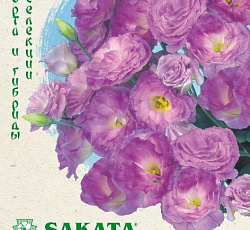 Эустома (лизиантус) Мариачи мистический синий F1