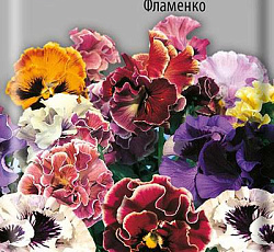 Анютины глазки Фламенко