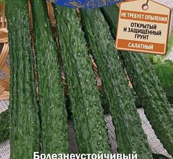 Огурец Любимец Конфуция F1