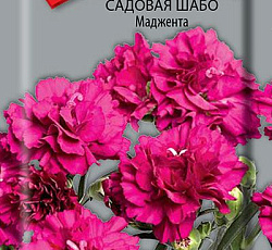 Гвоздика садовая Шабо Маджента