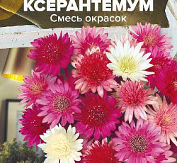 Ксерантемум Смесь окрасок