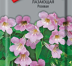 Азарина лазающая Розовая