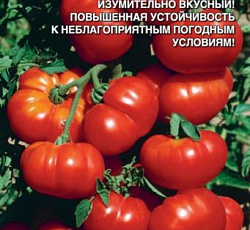 Томат Микадо красный