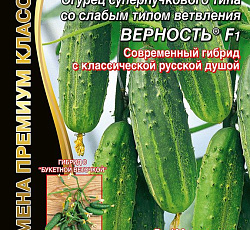 Огурец Верность F1