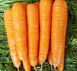 Морковь Золотая осень
