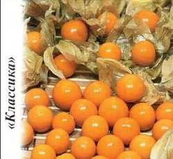 Физалис Земляничный