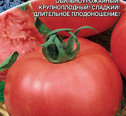 Томат Сибирские яблочки