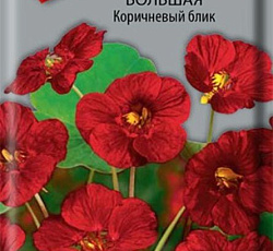 Настурция Большая Коричневый блик (махровая)