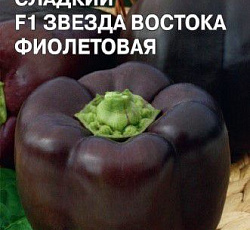 Перец сладкий Звезда Востока фиолетовая F1