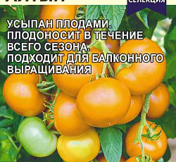 Томат Золотой алтын