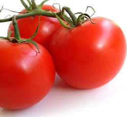 Томат Ультраскороспелый