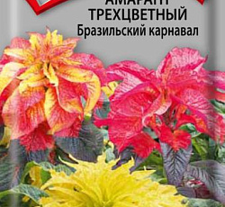 Амарант трехцветный Бразильский карнавал