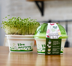 Набор для выращивания "Моя микрозелень" - БРЮКВА