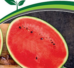 Арбуз Азиль F1