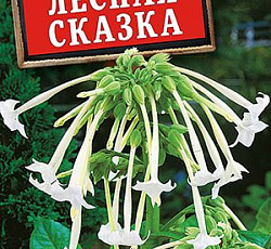 Табак Лесная сказка