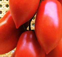 Томат Капия розовая