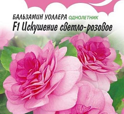 Бальзамин Уоллера Искушение светло-розовое F1