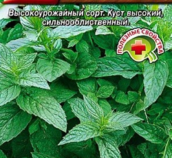 Мята овощная Ворожея