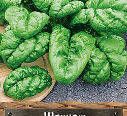 Шпинат Для заморозки