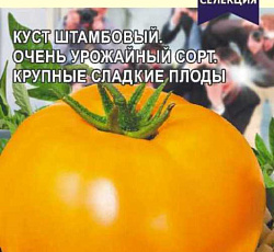 Томат Топ-модель